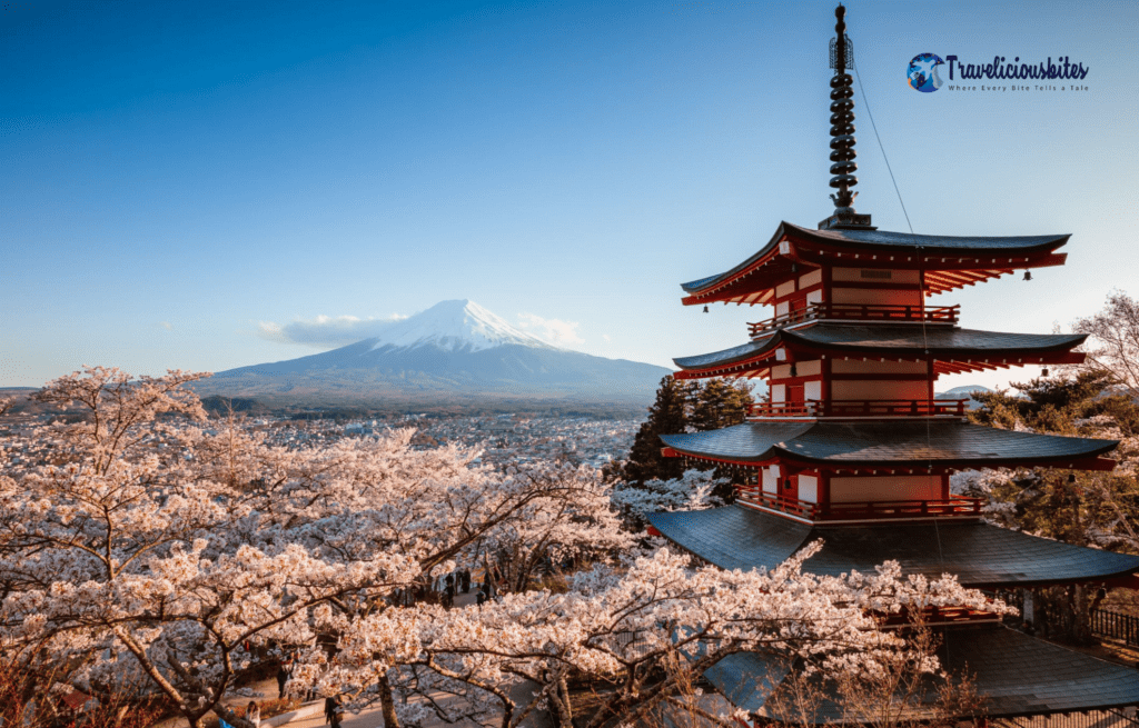 Solo Trip to Japan: A Journey of Freedom, Culture, and Self-Discovery 4 Solo Trip To Japan