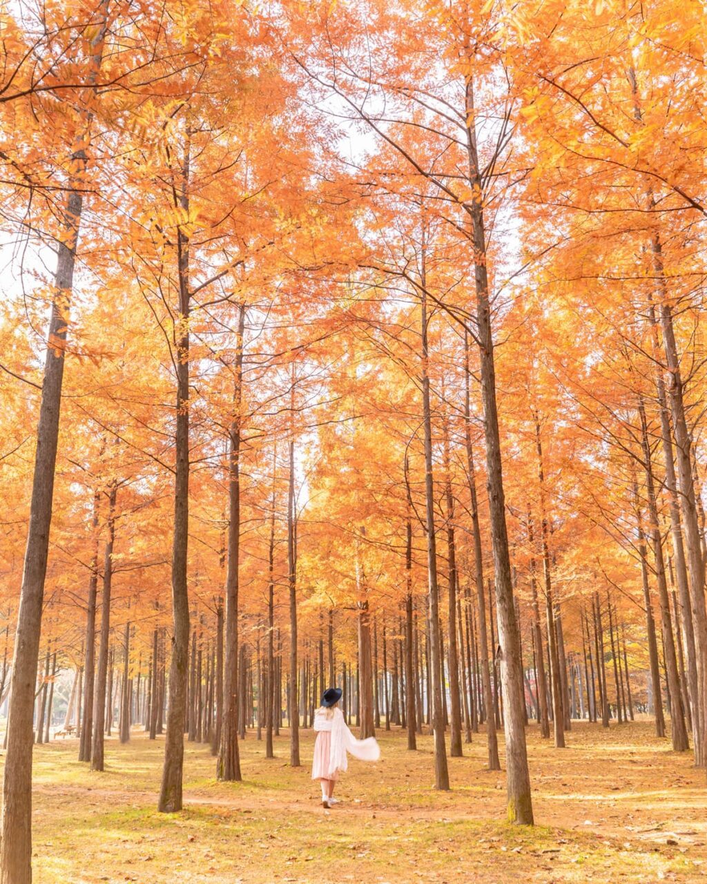best place to visit in october