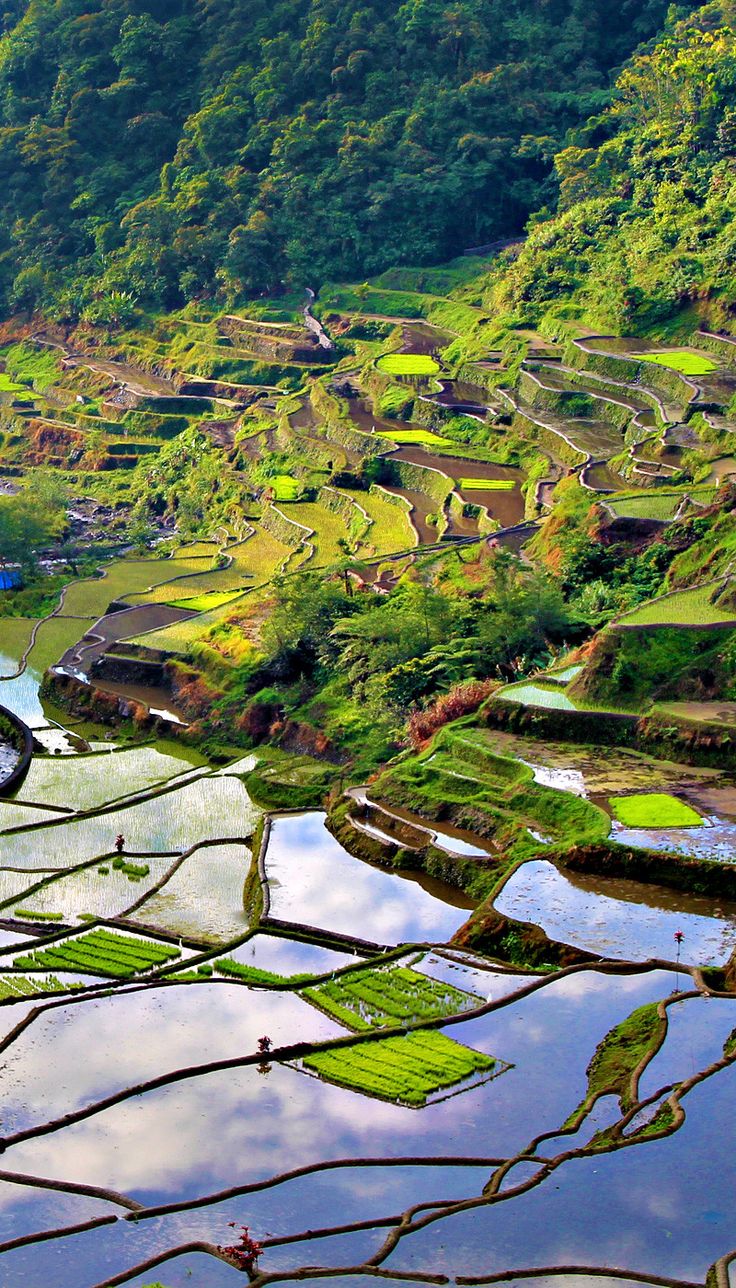 places to visit in Asia
