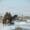 Bactrian camels walking through a snow-covered steppe in winter, with distant mountains and frosted shrubs under a clear blue sky.