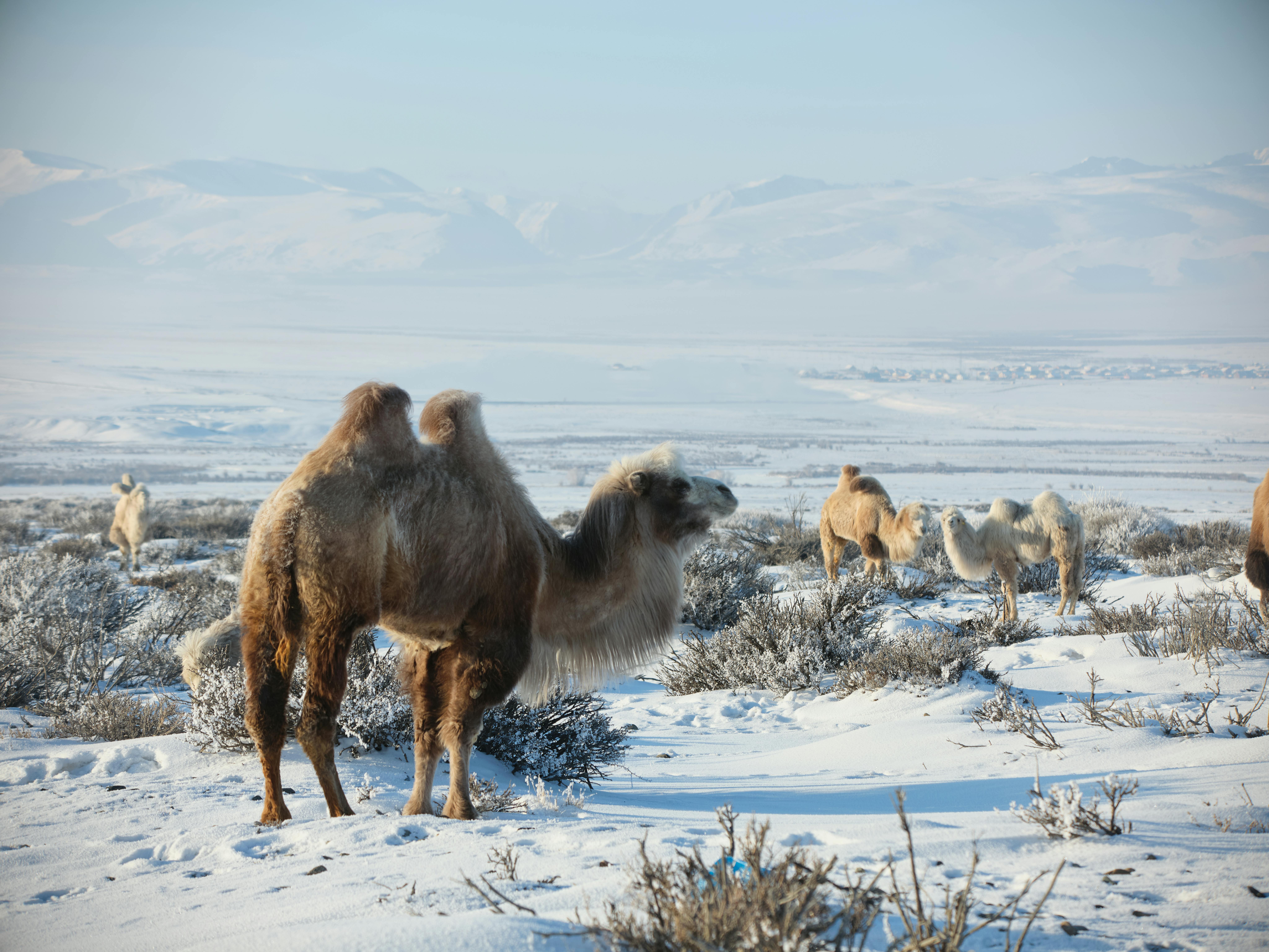 Top 10 Winter Wonderland Destinations for Snow Lovers