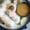 healthy Asian recipes