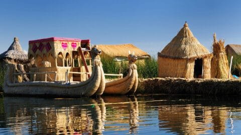 Cultural Immersion Experience in South America