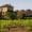 Napa Valley vineyard