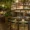 Things to do in San Diego