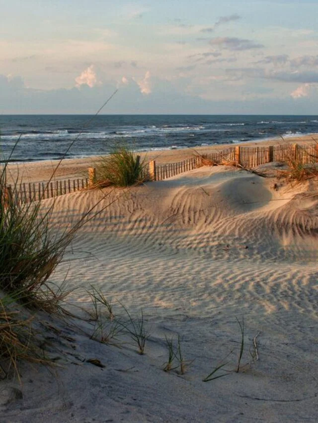 Discover East Coast’s Best Beaches