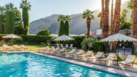Poolside lounge chairs with umbrellas at a luxury hotel in Palm Springs, surrounded by palm trees and mountain views in the background.