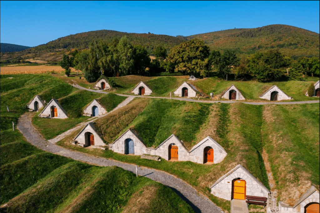 best places to go in November