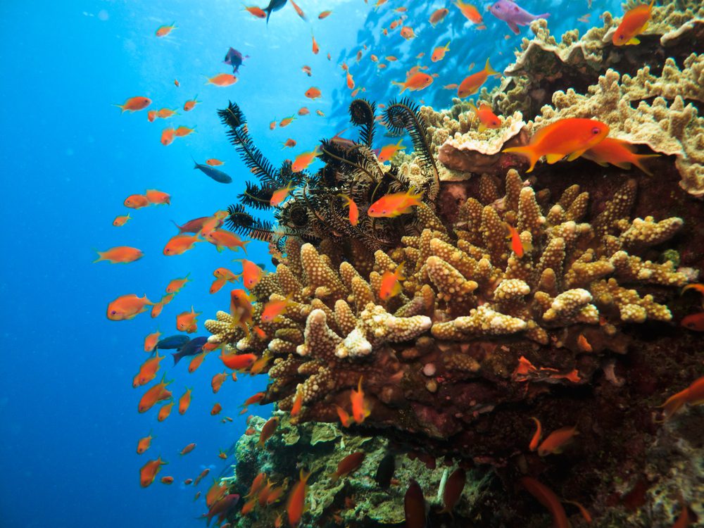 best countries to visit in November