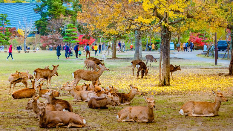 best places to holiday in November
