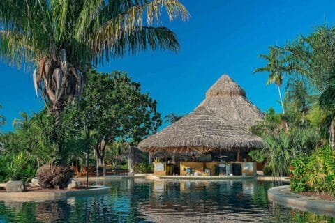 10 Unforgettable Costa Rica All Inclusive Family Resorts for Your Next Adventure 12 Thatched-roof swim-up bar surrounded by lush palm trees and tropical vegetation at a resort pool under a bright blue sky in Costa Rica