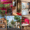 best hotels in oaxaca