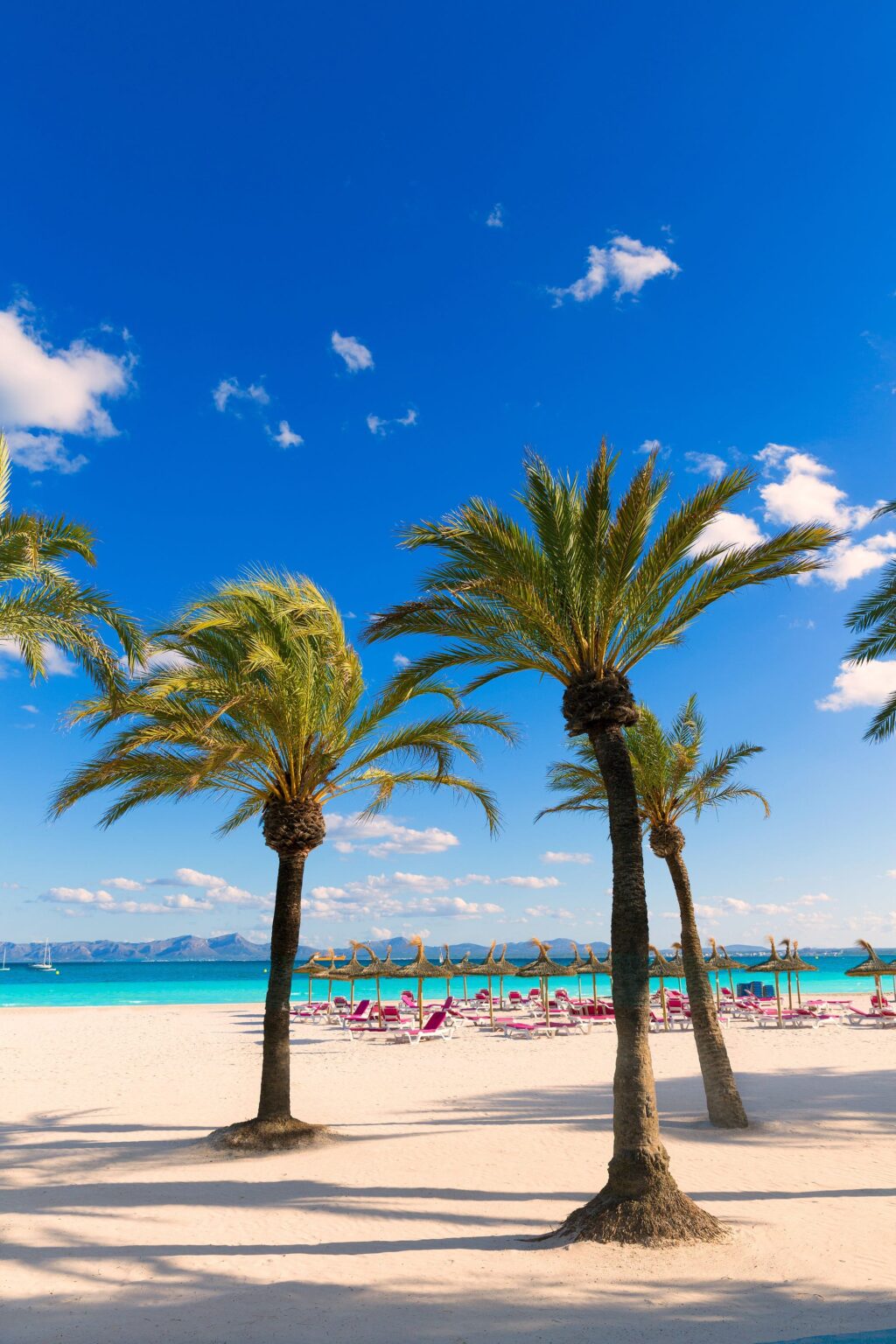best beaches in Mallorca