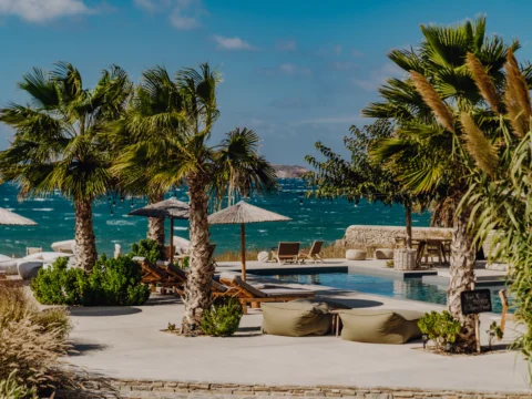 Luxury beachfront hotel pool area with palm trees on Paros Island