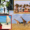 Hot Places to Travel in February