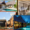 Mauritius Hotels