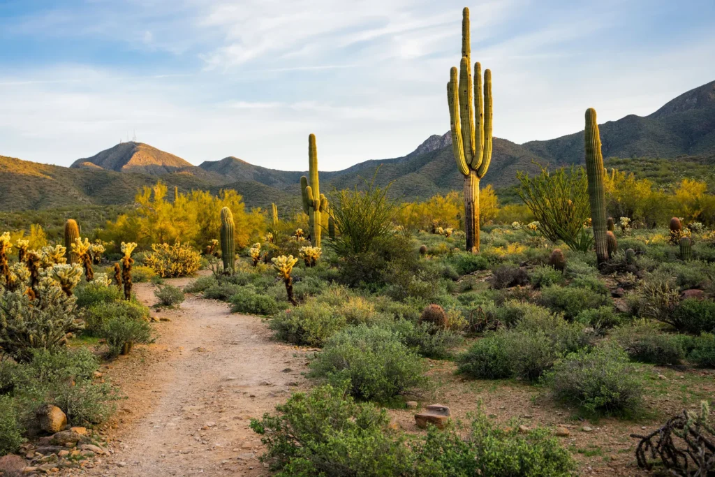 Arizona best places to visit