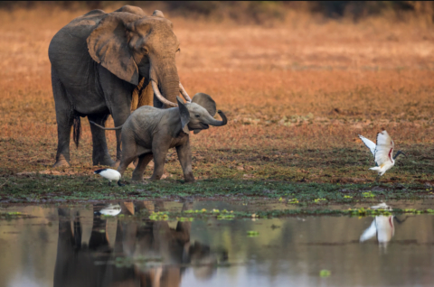 This Is the Best Place to Visit in May for an Epic Trip in 2025! 26 best place to visit in May