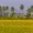 Karnataka Kuthlur Village