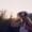 Travel Trends of 2025