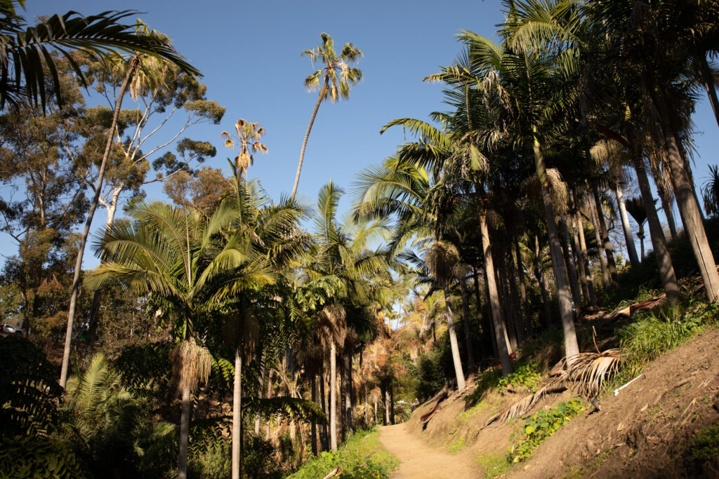 Hiking Locations in San Diego