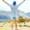How Does Traveling Boost Your Health and Happiness?