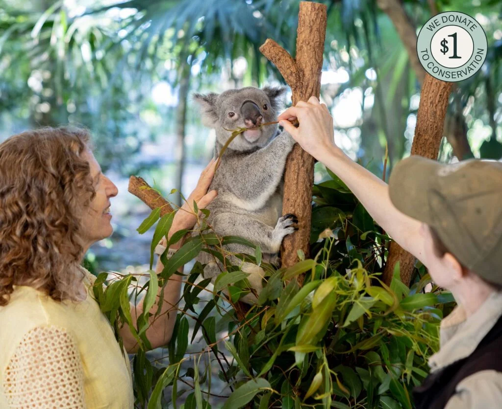 cheap international vacations