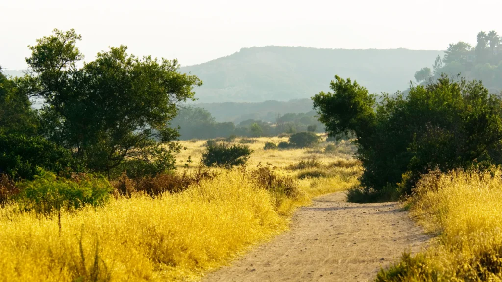 Hiking Locations in San Diego
