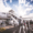 international destinations over domestic travel