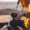 roadmap to being a travel influencer