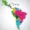 south-america