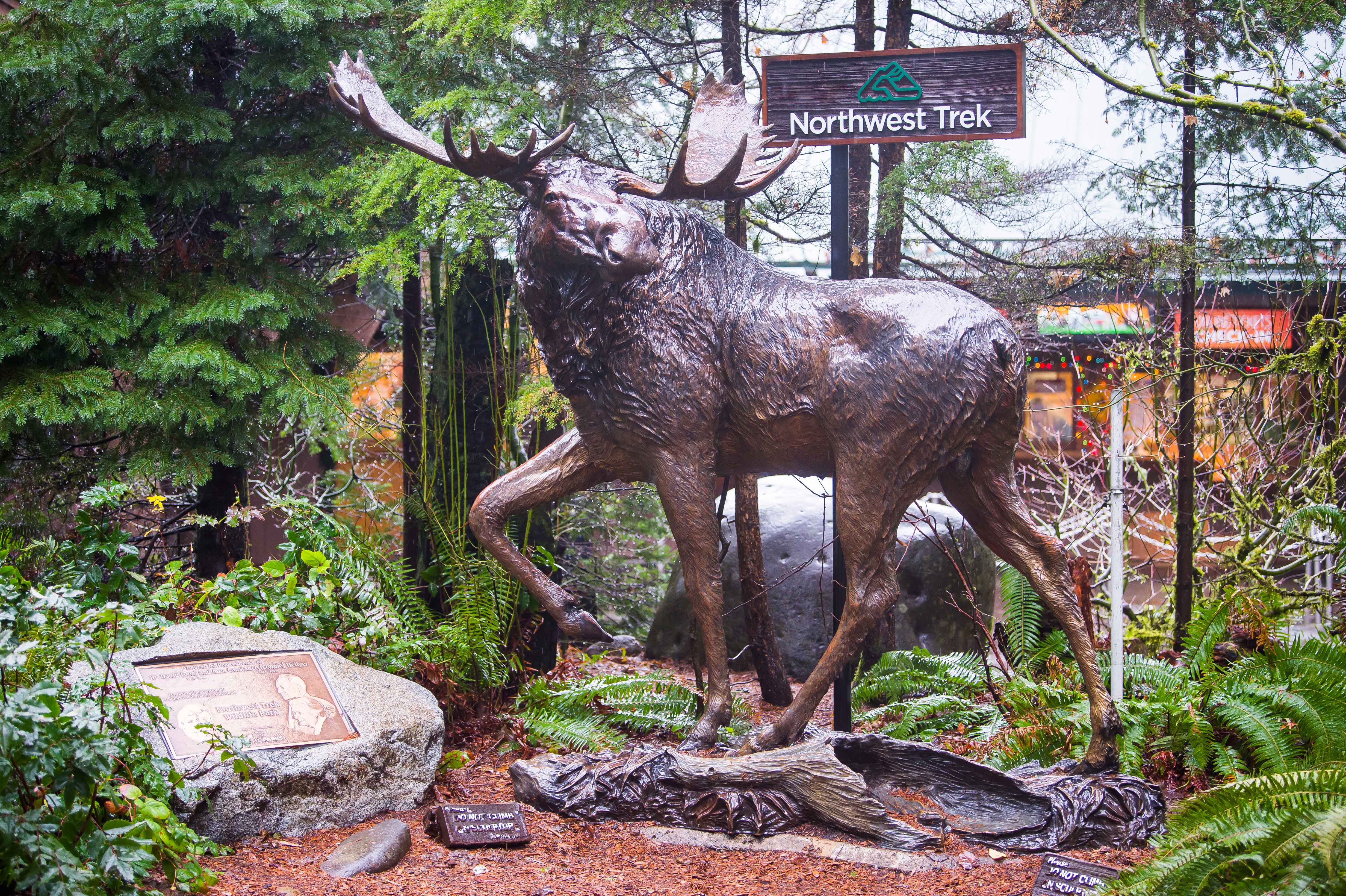 This Is How Northwest Trek Became the Top Wildlife Park in the Pacific Northwest!