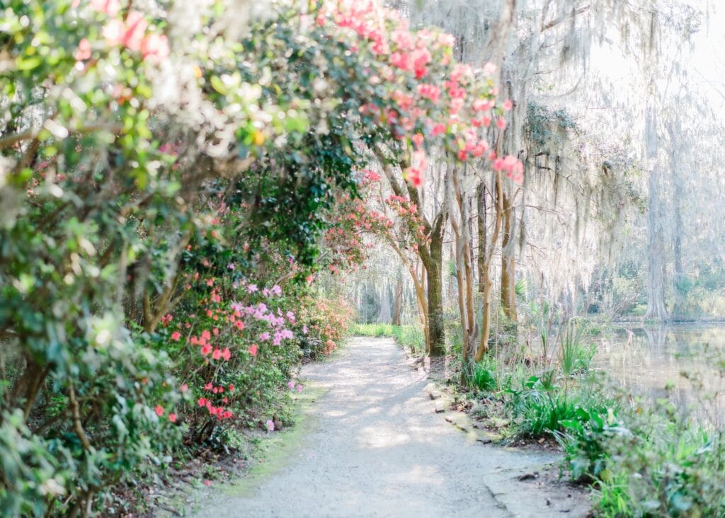 things to do in Charleston SC