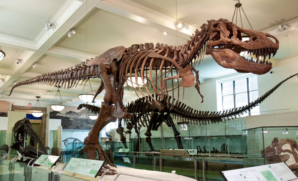 museums in NYC