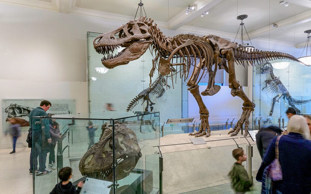 things to do in NYC with kids