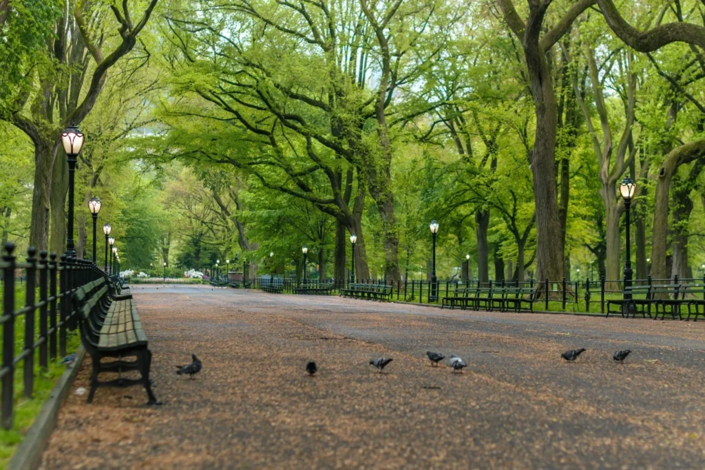 best cheap things to do in NYC