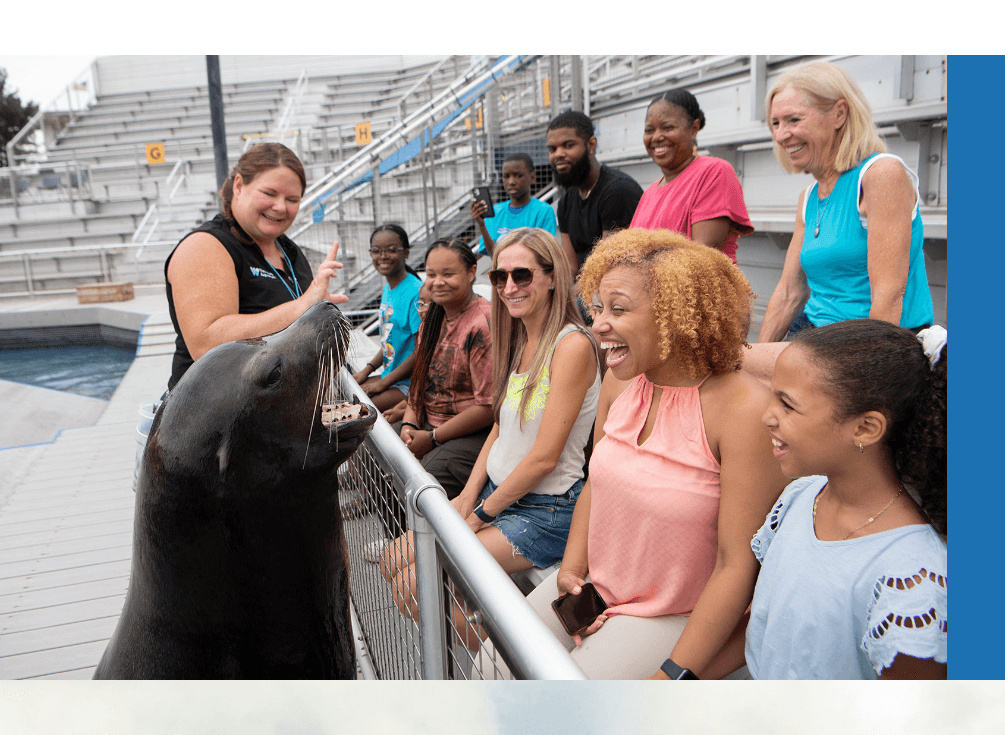 New York Aquarium