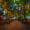 spruce street harbor park philadelphia​