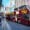 new york bus tour