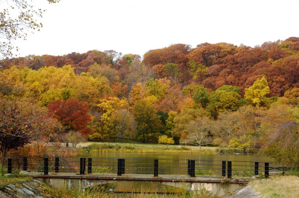 hiking trails near NYC