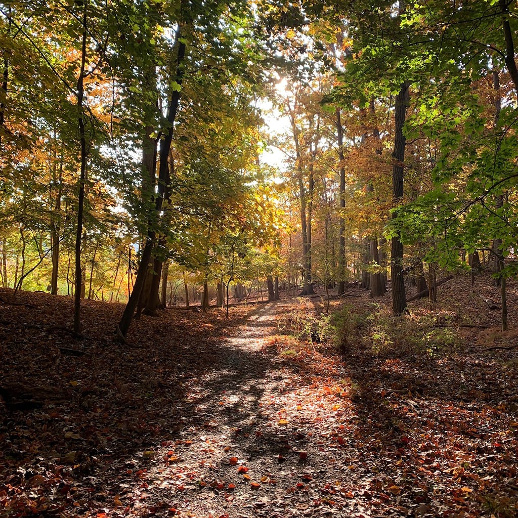 hiking trails near NYC