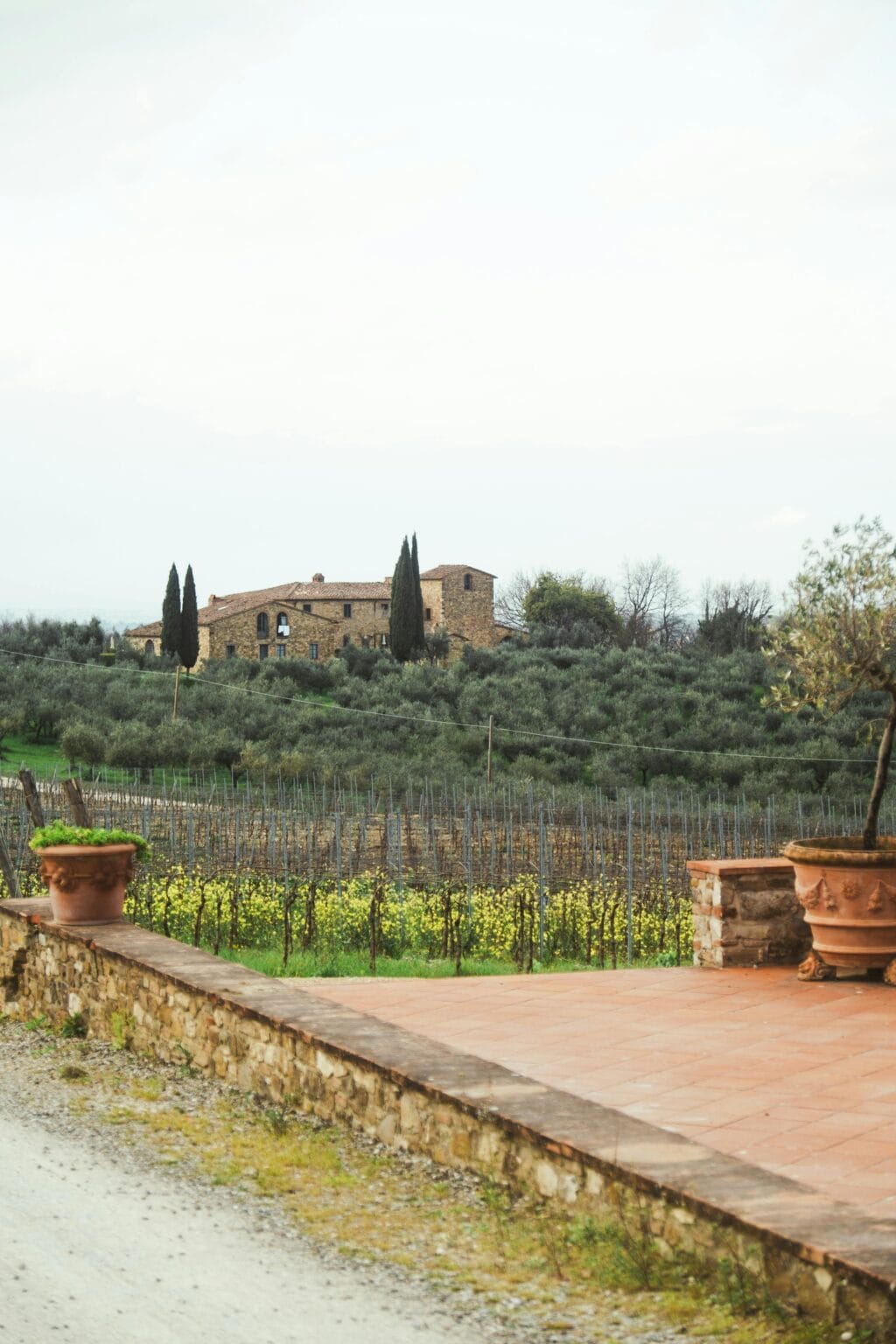 wine tasting in from Tuscany to Florence