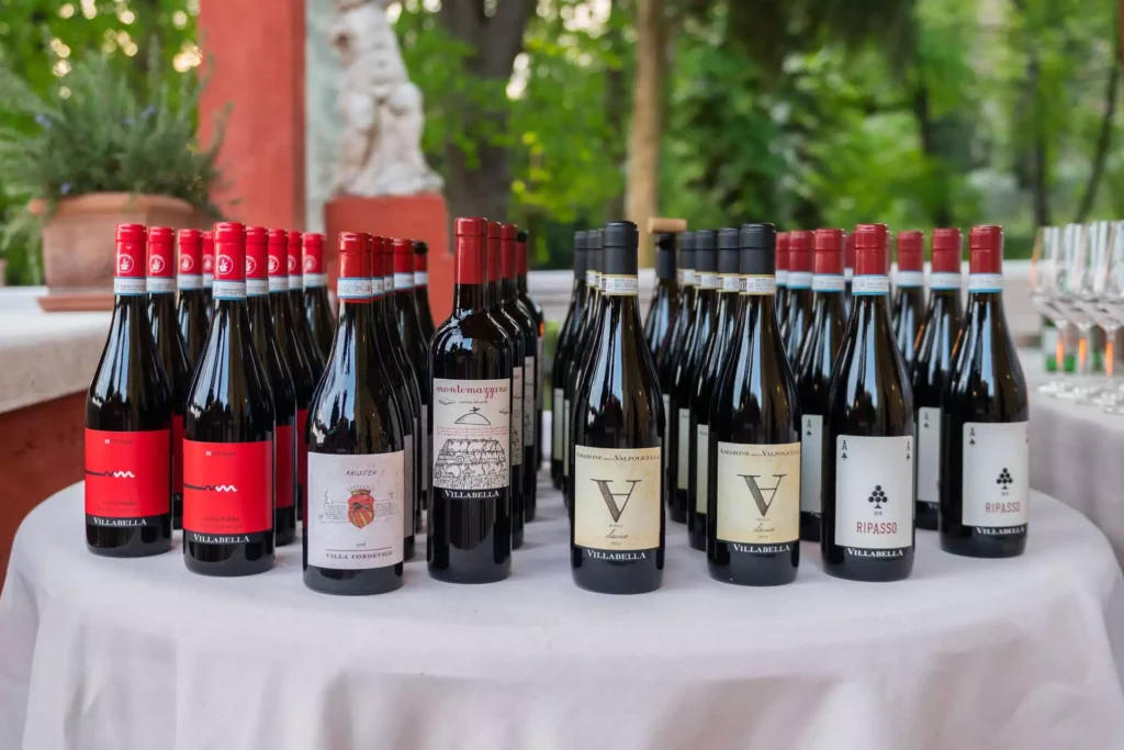 best wine tasting in italy