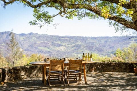 These Are The Best Wineries in Barcelona Spain - Sip in Style in 2025! 6 Barcelona wine tasting tours