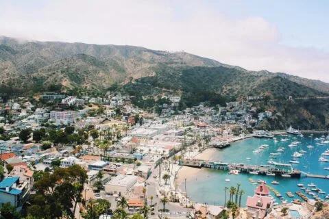 Catalina Island: A Complete 2025 Travel Guide to California’s Hidden Gem 90 Catalina Island: A Complete 2025 Travel Guide to California’s Hidden Gem