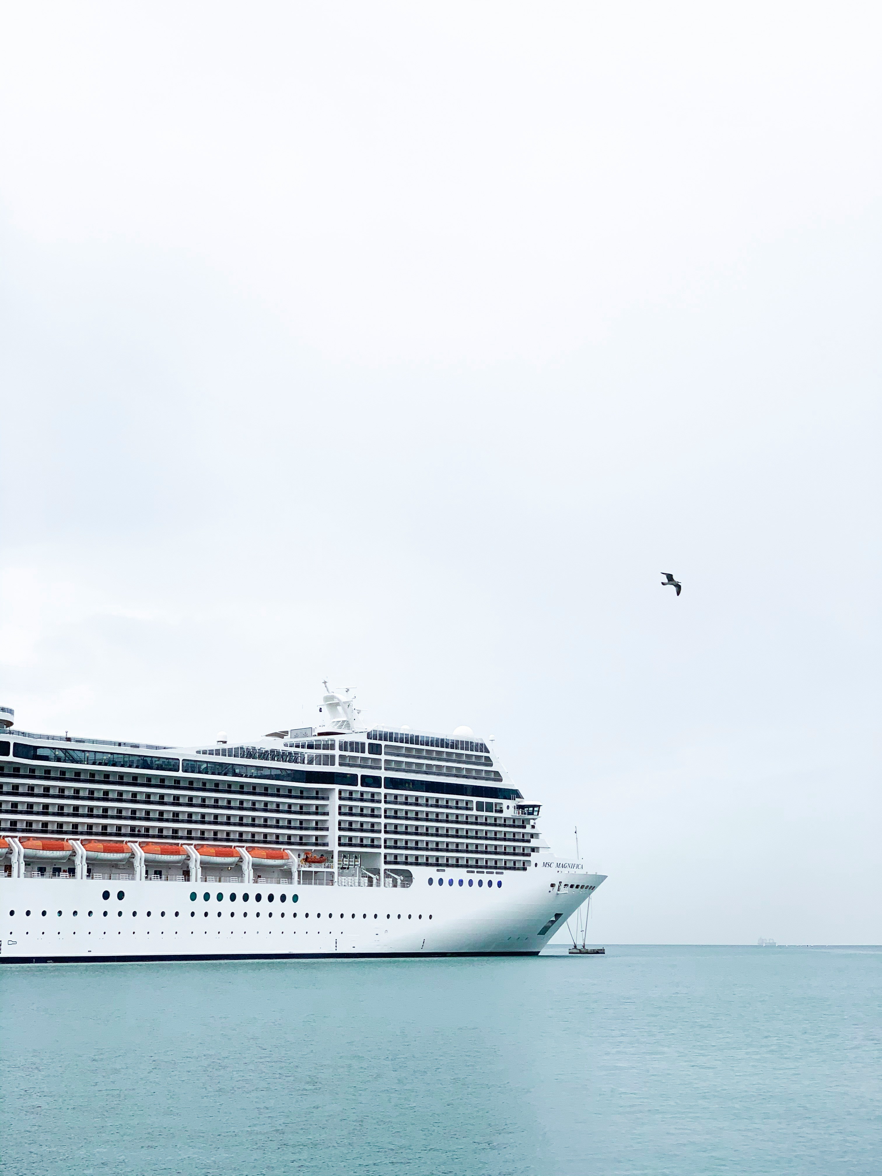 Cruise to Bermuda: A 2025 Guide to Pink Beaches, History & Island Adventure