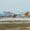 Pegasus Airlines