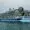 Icon of the Seas