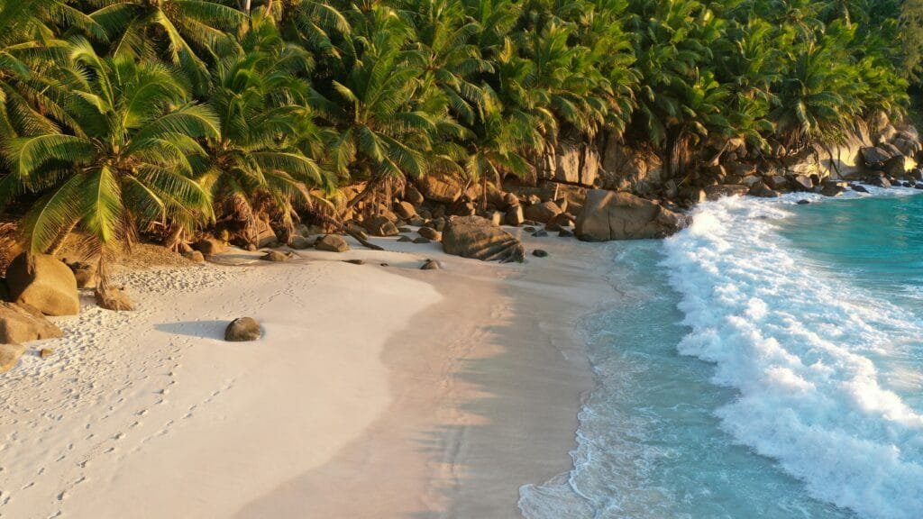 Antigua Vacation: A Complete Guide to Paradise in the Caribbean 6 Antigua Vacation: A Complete Guide to Paradise