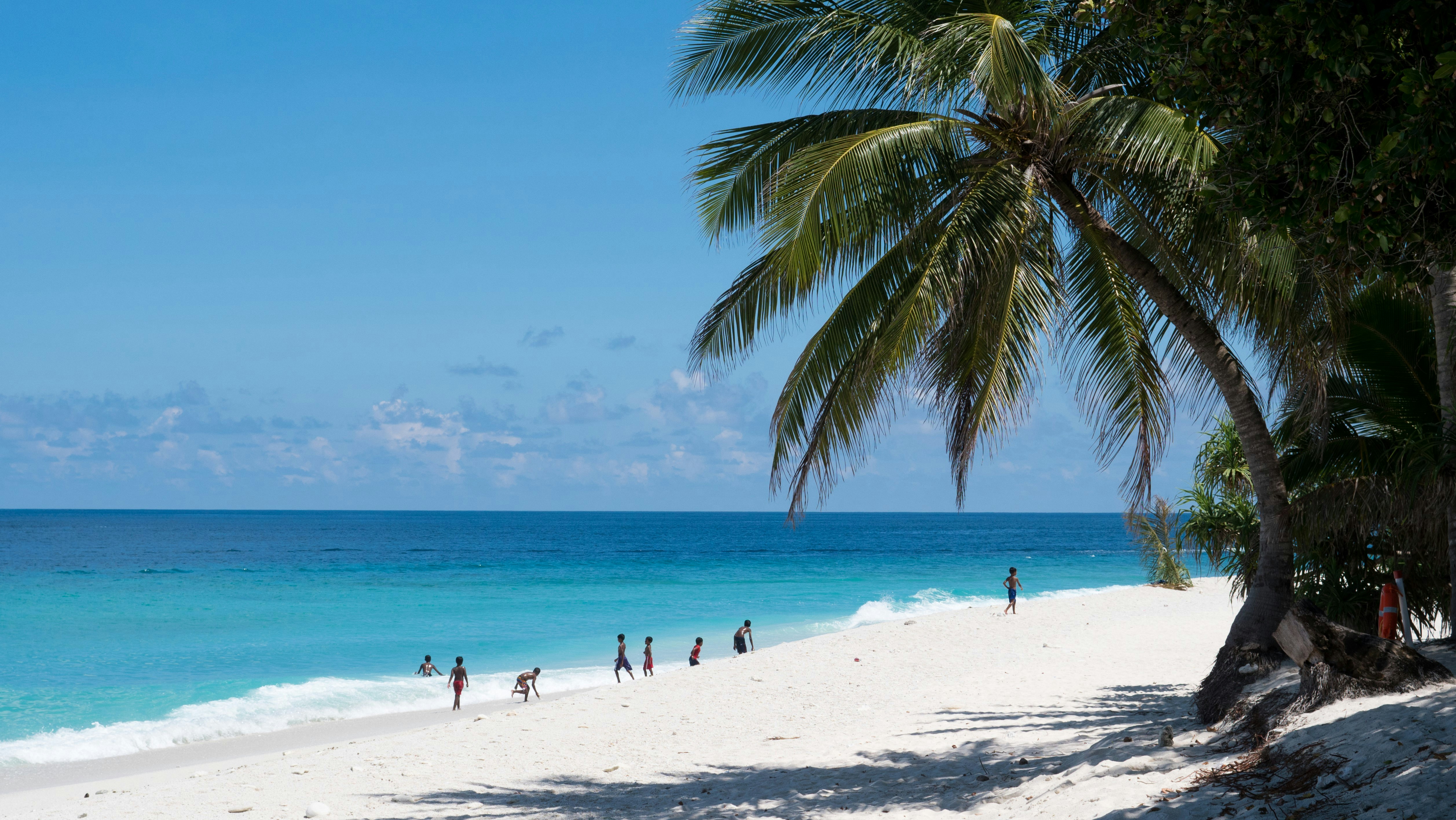 Barbados Visa Free Travel Everything You Need to Know